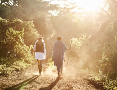 when is the best time to travel to tanzania