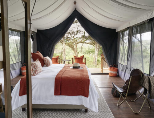 How much does safari in tanzania cost
